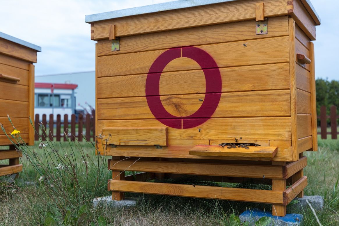 Nietypowi mieszkańcy parków logistycznych Sergo