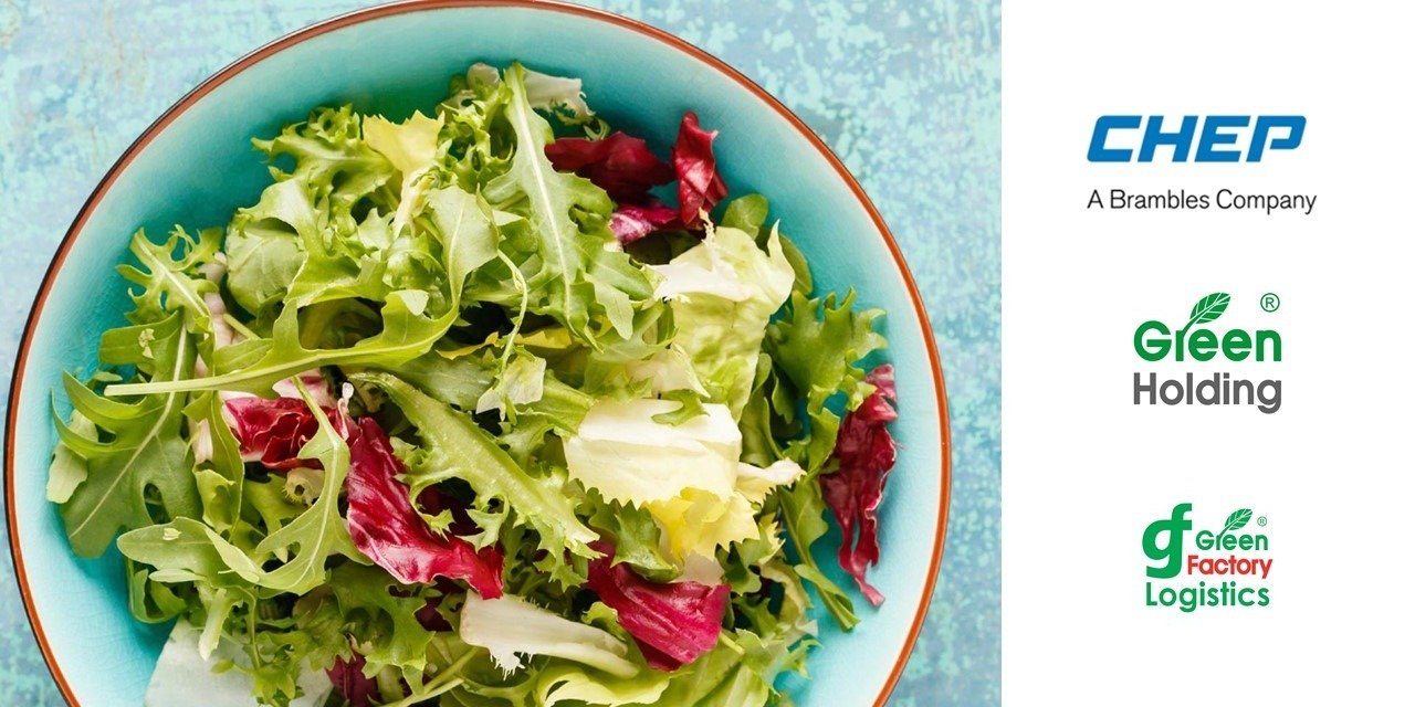 Partnerstwo CHEP i&nbsp;Green Holding