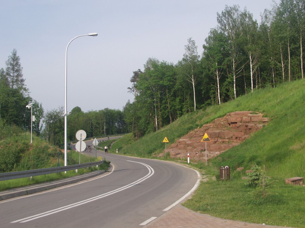 Eurowag: cyfryzacja i&nbsp;zrównoważony rozwój